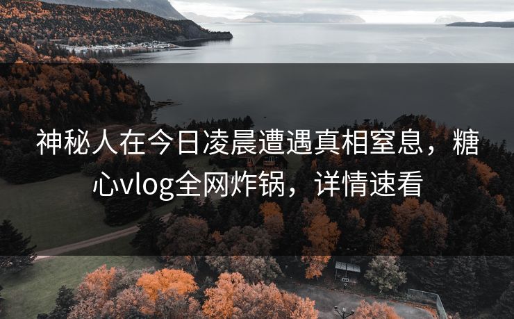 神秘人在今日凌晨遭遇真相窒息，糖心vlog全网炸锅，详情速看