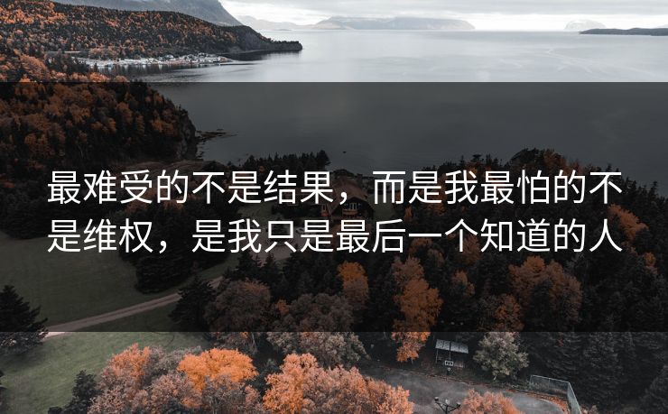 最难受的不是结果,而是我最怕的不是维权,是我只是最后一个知道的人 最难受的不是结果,而是我最怕的不是维权,是我只是最后一个知道的人